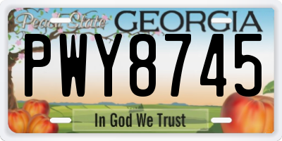 GA license plate PWY8745