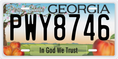 GA license plate PWY8746