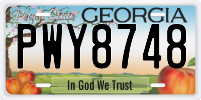 GA license plate PWY8748