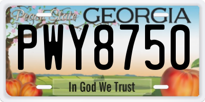 GA license plate PWY8750