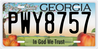 GA license plate PWY8757