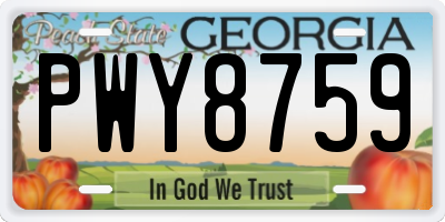 GA license plate PWY8759