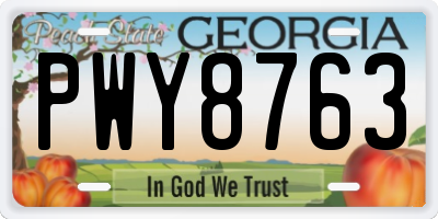 GA license plate PWY8763