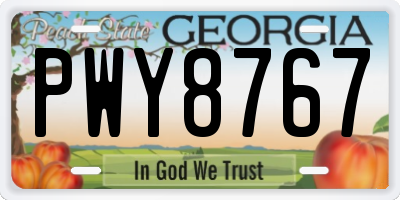 GA license plate PWY8767
