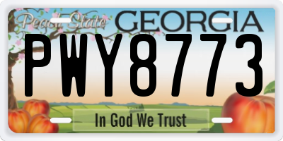 GA license plate PWY8773