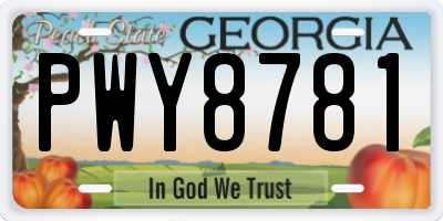 GA license plate PWY8781