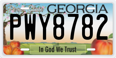 GA license plate PWY8782