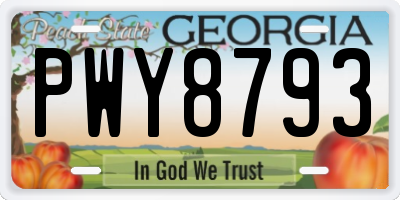 GA license plate PWY8793