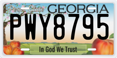GA license plate PWY8795