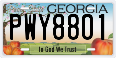 GA license plate PWY8801