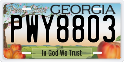 GA license plate PWY8803