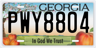 GA license plate PWY8804