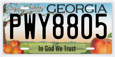 GA license plate PWY8805