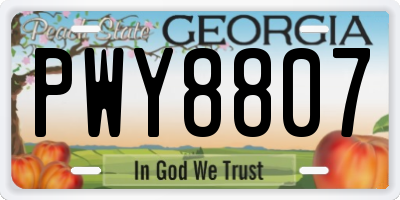 GA license plate PWY8807