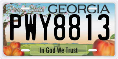 GA license plate PWY8813