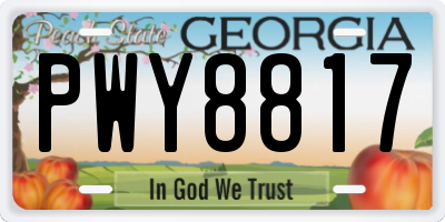 GA license plate PWY8817