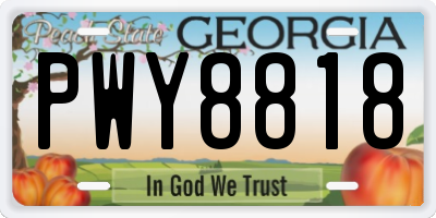 GA license plate PWY8818
