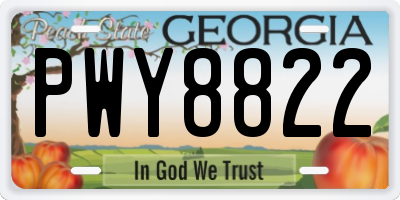 GA license plate PWY8822