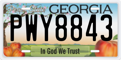 GA license plate PWY8843