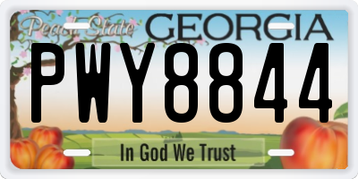 GA license plate PWY8844
