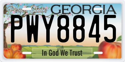 GA license plate PWY8845