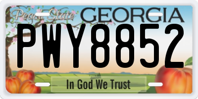 GA license plate PWY8852