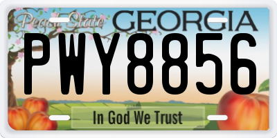 GA license plate PWY8856