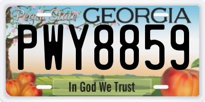 GA license plate PWY8859