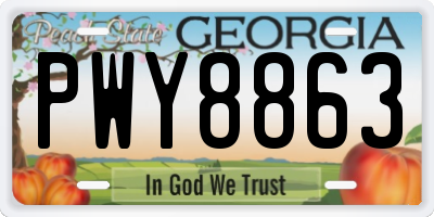 GA license plate PWY8863