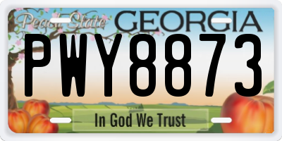GA license plate PWY8873