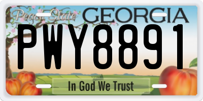 GA license plate PWY8891