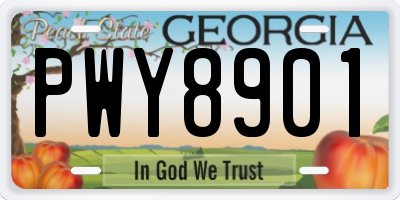 GA license plate PWY8901