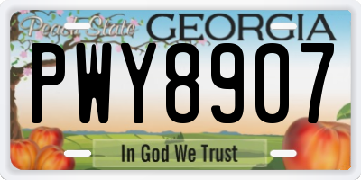 GA license plate PWY8907