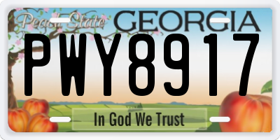 GA license plate PWY8917