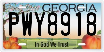 GA license plate PWY8918