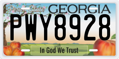 GA license plate PWY8928