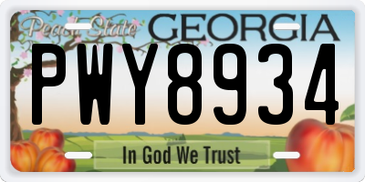 GA license plate PWY8934