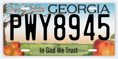 GA license plate PWY8945