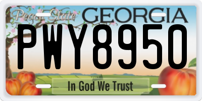 GA license plate PWY8950