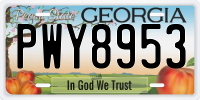 GA license plate PWY8953