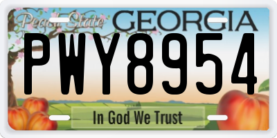 GA license plate PWY8954