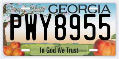 GA license plate PWY8955