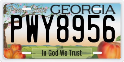 GA license plate PWY8956