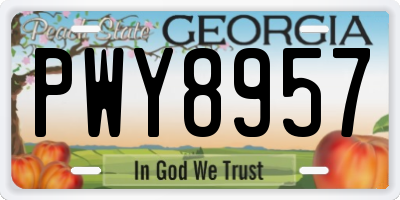 GA license plate PWY8957