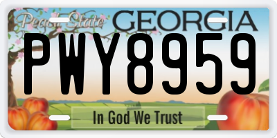 GA license plate PWY8959