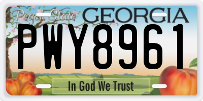 GA license plate PWY8961