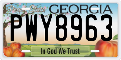 GA license plate PWY8963