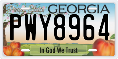 GA license plate PWY8964