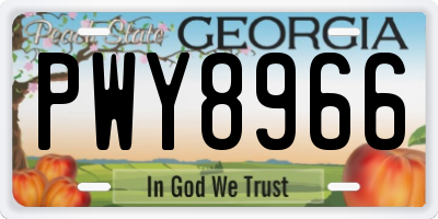 GA license plate PWY8966