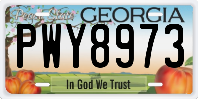 GA license plate PWY8973